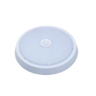 Laision Ceiling Lamp Sensor Light III