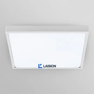 Laision Silver Injection Molding Circlip